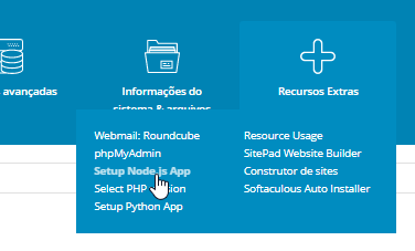 Acessar Setup Node.js DirectAdmin