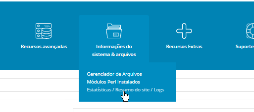 Painel_de_Controle_ DirectAdmin_Estatisticas