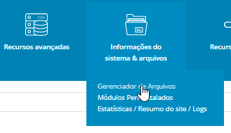 Gerenciador de Arquivos DirectAdmin