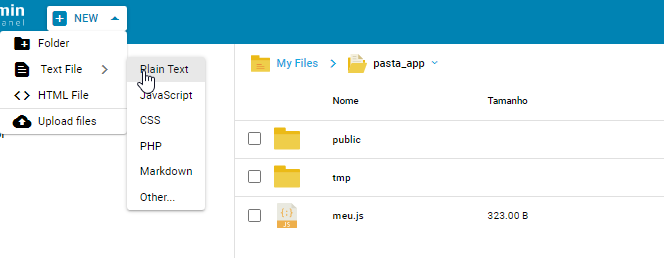 Criando Novo Arquivo DirectAdmin
